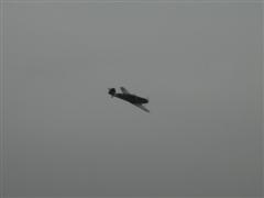 PICT2146.JPG